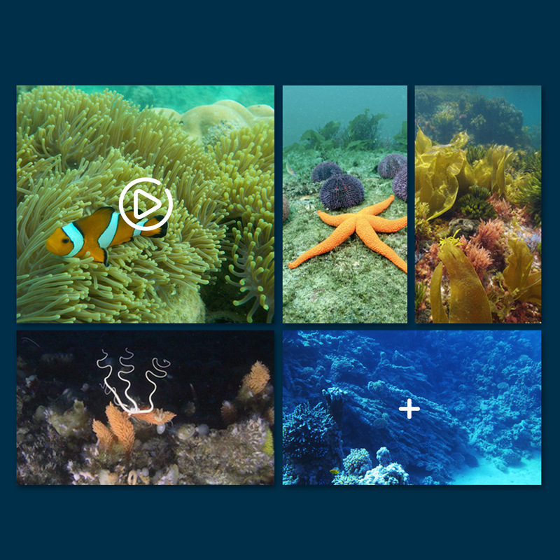 Mini Wifi Rc Underwater Camera - огляд і ціна Rc Hobby Photos